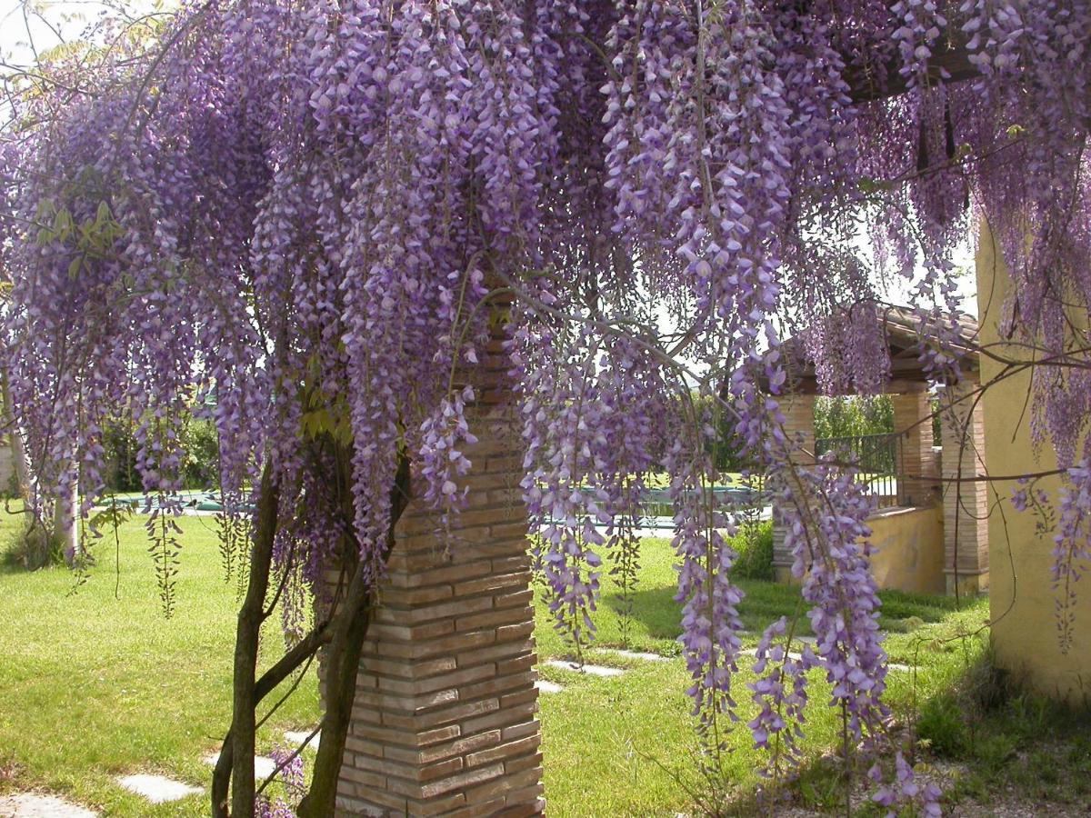 أتيغليانو Casavacanze Sant'Eugenia المظهر الخارجي الصورة
