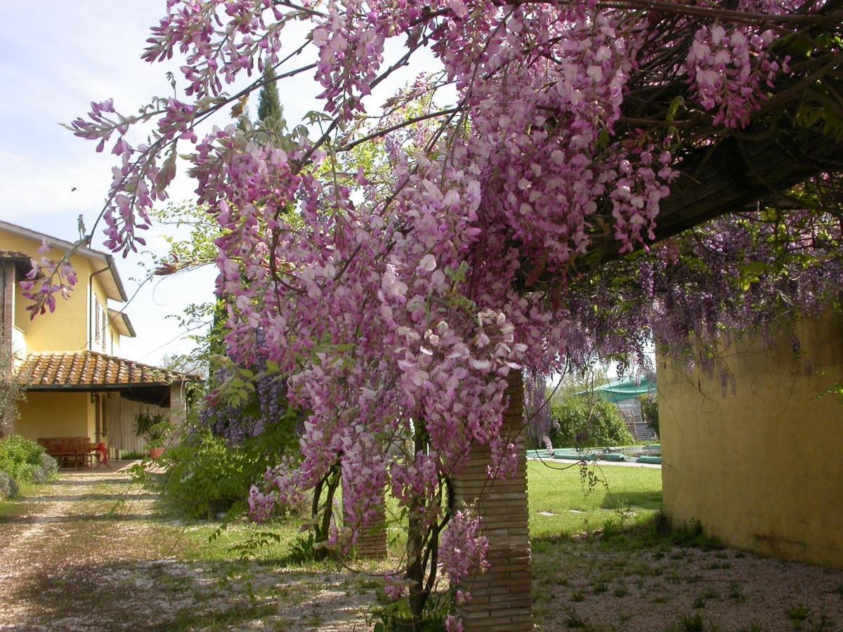 أتيغليانو Casavacanze Sant'Eugenia المظهر الخارجي الصورة
